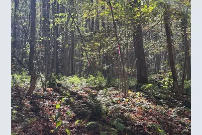 Lot 1 Neals Run Road, Saltlick Township, PA 15622 - Photo 8