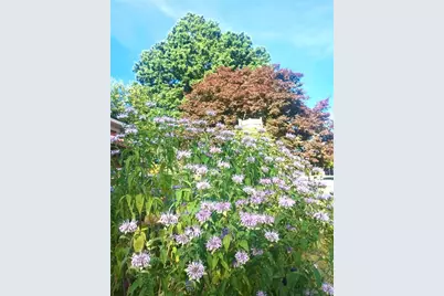 113 E Leasure Avenue, New Castle, PA 16101 - Photo 38