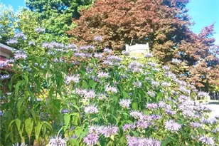 113 E Leasure Ave, New Castle, PA 16101 - Photo 38