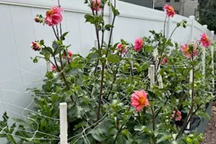 220 Seward St, Pittsburgh, PA 15211 - Photo 50