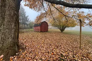 503 Main St, West Leechburg, PA 15656 - Photo 8