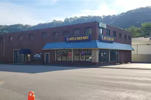 915 Saxonburg Blvd, Pittsburgh, PA 15223 - Photo 1