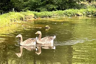 190 Sara Ln, Clinton Township, PA 16374 - Photo 6