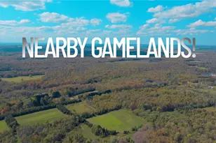 25630 Hungry Run Rd, Bloomfield Twp, PA 16438 - Photo 34