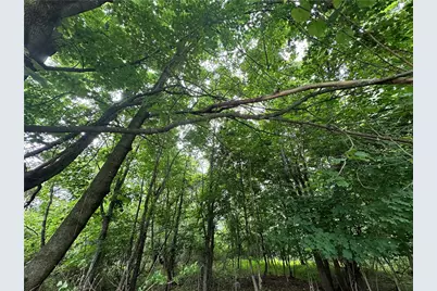 0 Holly Alley, Brownsville, PA 15475 - Photo 12