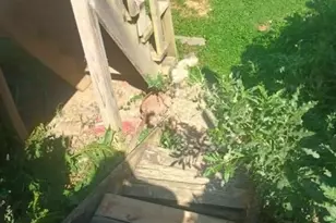 1718 W 56th St, Erie City, PA 16509 - Photo 32