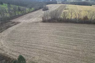 121 Powell Rd, Penn Township, PA 16002 - Photo 46