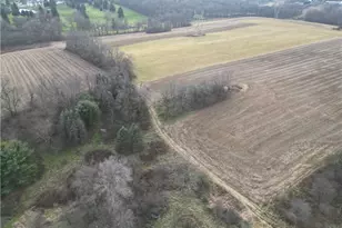 121 Powell Rd, Penn Township, PA 16002 - Photo 36