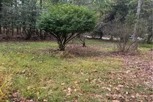 117 Chestnut Ridge Rd, Bullskin Township, PA 15610 - Photo 32