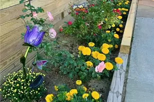 311 Elm St, Vandergrift, PA 15690 - Photo 44