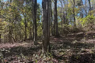 103 Wash Run Rd, Saltlick Township, PA 15446 - Photo 30