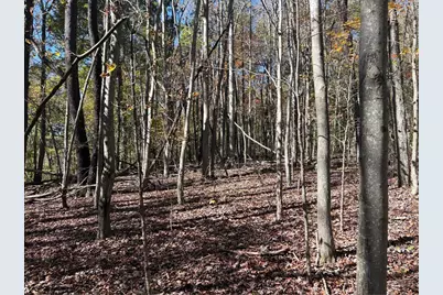 103 Wash Run Rd, Saltlick Township, PA 15446 - Photo 32