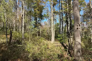 103 Wash Run Rd, Saltlick Township, PA 15446 - Photo 10