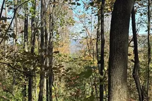 103 Wash Run Rd, Saltlick Township, PA 15446 - Photo 12