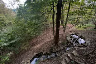 1123 Juanita Dr, Robinson Twp, PA 15108 - Photo 42