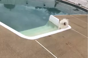 104 Pagano Dr, Hempfield Township, PA 15672 - Photo 48