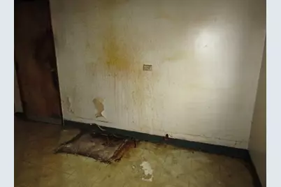 7343 Burton St, Pittsburgh, PA 15218 - Photo 26