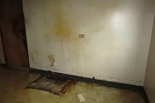 7343 Burton St, Pittsburgh, PA 15218 - Photo 26