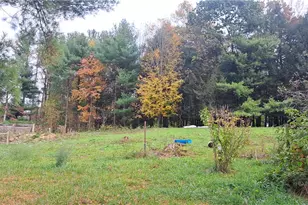 252 Moore Rd, Punxsutawney Area School District, PA 15767 - Photo 14