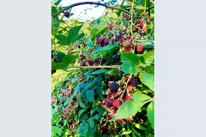 631 Meyers St, Confluence Boro, PA 15424 - Photo 14