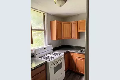 245 N Balph Ave, Pittsburgh, PA 15202 - Photo 8