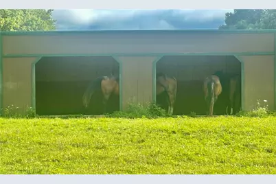 1316 Porter Rd, Clinton Township, PA 16038 - Photo 36