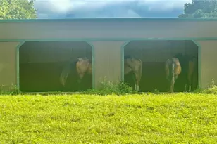 1316 Porter Rd, Clinton Township, PA 16038 - Photo 36