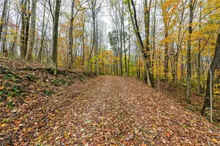 120 Youngstown Ridge Rd, Ligonier Township, PA 15658 - Photo 40