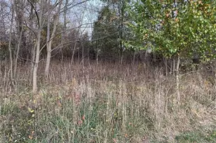 298-A McCombs Rd, Peters Township, PA 15367 - Photo 4