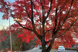 632 Blanton St, Pittsburgh, PA 15207 - Photo 38