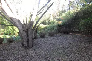 713 Washington St, Aliquippa, PA 15001 - Photo 4