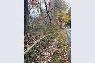 0 Browntown Rd, Mercer Township, PA 16038 - Photo 6