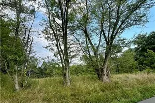 1054 Eldersville Rd, Jefferson, PA 15021 - Photo 4