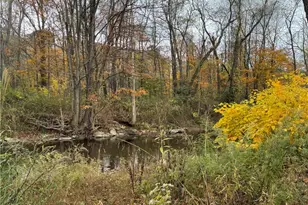 333 Greenacres Ln, Ligonier Township, PA 15658 - Photo 10