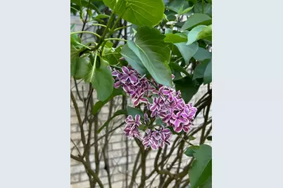 1301 Shinnecock Ct, Adams Township, PA 16046 - Photo 46