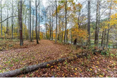 Tbd Bortz Mine Road, Point Marion, PA 15451 - Photo 16
