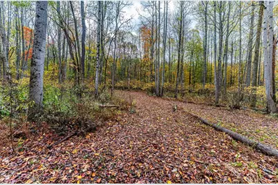 Tbd Bortz Mine Road, Point Marion, PA 15451 - Photo 14