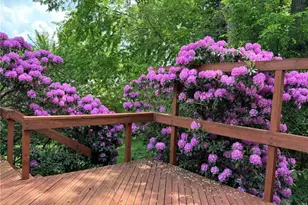 611 Audubon Ave, Pittsburgh, PA 15228 - Photo 28