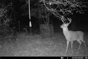 10019 Dingman Rd, Guys Mills, PA 16327 - Photo 42