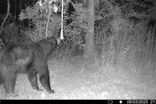 10019 Dingman Rd, Guys Mills, PA 16327 - Photo 44