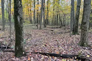 10019 Dingman Rd, Guys Mills, PA 16327 - Photo 48