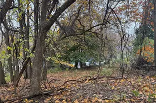 458 Belonda St, Pittsburgh, PA 15211 - Photo 4