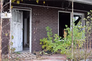 407 Green St, Brownsville, PA 15417 - Photo 10