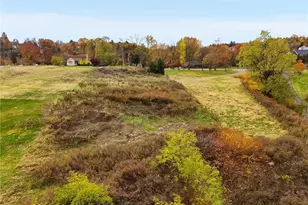 329 Dorseyville, Pittsburgh, PA 15215 - Photo 12