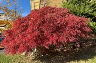 405 Diehl Dr, McKeesport, PA 15132 - Photo 44