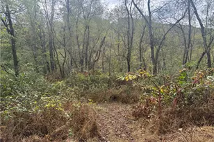 123 Baylee Ln, South Bend Township, PA 15618 - Photo 12