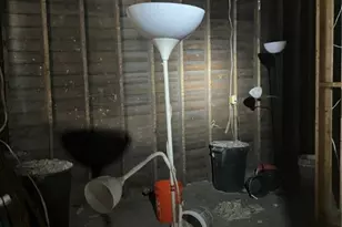 613 High St, California, PA 15419 - Photo 10