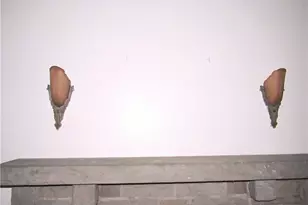 201 Friday Rd, Pittsburgh, PA 15209 - Photo 28