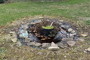 3602 Patricia Ln, Richland, PA 15044 - Photo 34