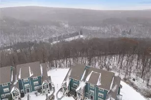 9132 Aspen Dr, Seven Springs, PA 15622 - Photo 40